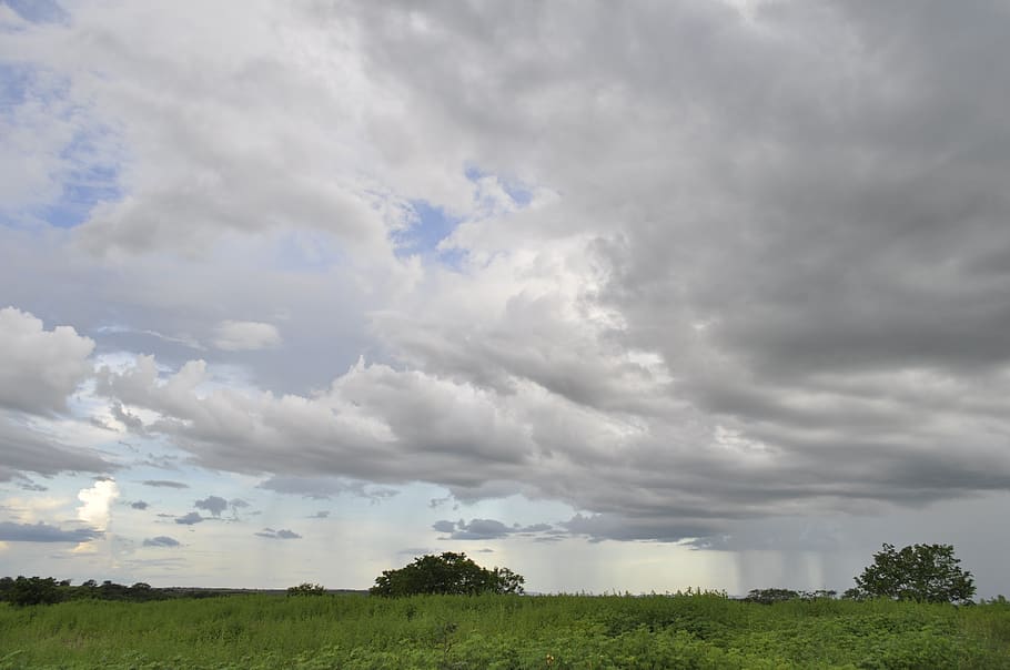 céu, nuvem, panorama, nuvens, dia, futuro, natural, fofa, ar, horizonte, campo, gramado, árvore, nuvem - céu, plantar, beleza na natureza, cena tranquila, tranquilidade, scenics - natureza, meio Ambiente, terra, natureza, ninguém, crescimento, cor verde, ao ar livre, cena não urbana, 2K
