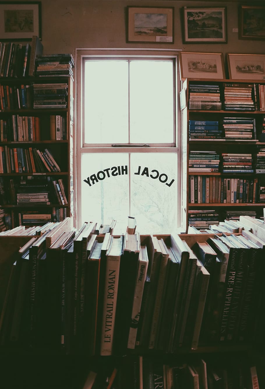 lote de libros de títulos variados, estante, dentro, habitación, publicación, libro, educación, texto, comunicación, estante para libros, adentro, escritura occidental, gran grupo de objetos, nadie, abundancia, arreglo, colección, biblioteca, literatura, en una fila, apilar, pericia, papel, orden, 5K