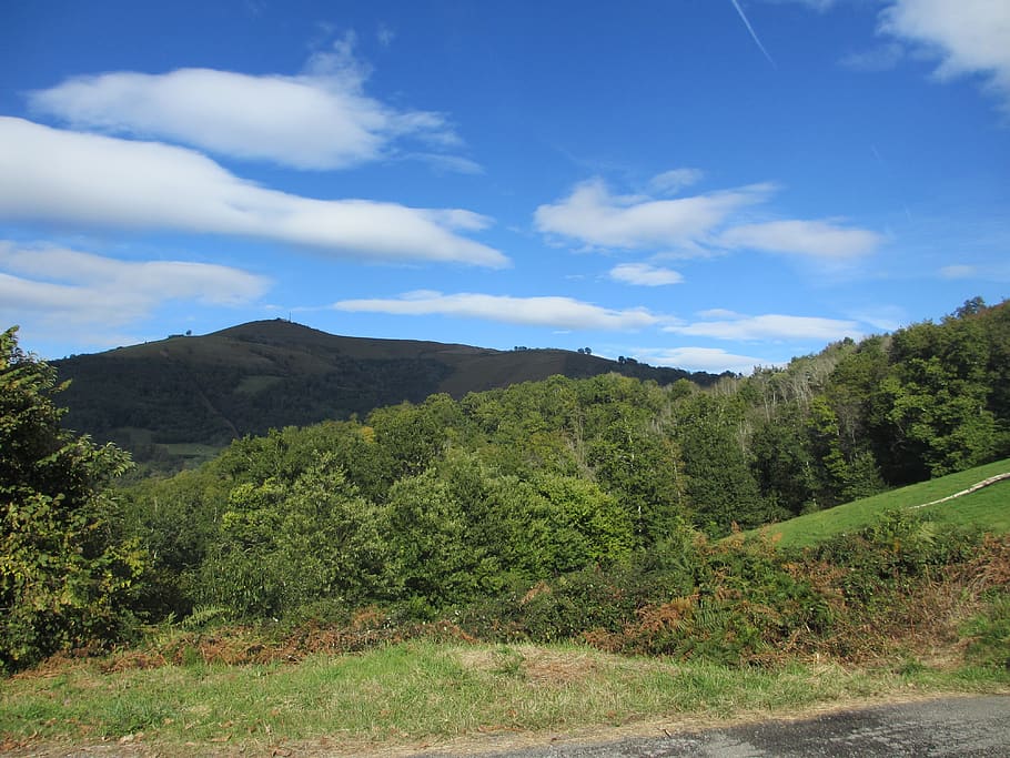 arbres, Pirineus, muntanya, cel, planta, núvol - cel, bellesa a la natura, arbre, escenics - natura, escena tranquil·la, tranquil·litat, medi ambient, paisatge, escena no urbana, naturalesa, color verd, terra, creixement, cap gent, dia, idíl·lic, bosc, 4K