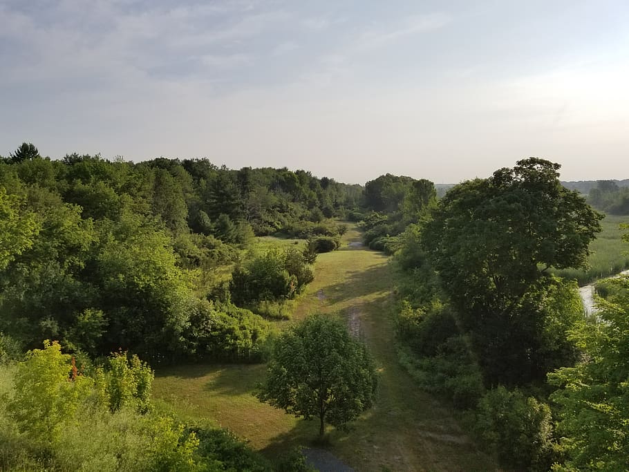 Canadà, Kingston, planta, arbre, tranquil·litat, cel, escenics - natura, creixement, color verd, bellesa a la natura, escena tranquil·la, naturalesa, dia, cap gent, escena no urbana, terra, paisatge, núvol - cel, medi ambient, direcció, aigua, a l'aire lliure, 4K