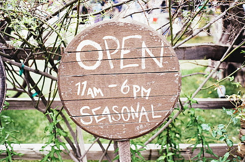 brown, white, open, signage, sign, text, communication, western script, information, plant, information sign, day, no people, tree, capital letter, nature, warning sign, close-up, outdoors, guidance, focus on foreground, script, non-western script, road sign, message, 2K, CC0, public domain, royalty free