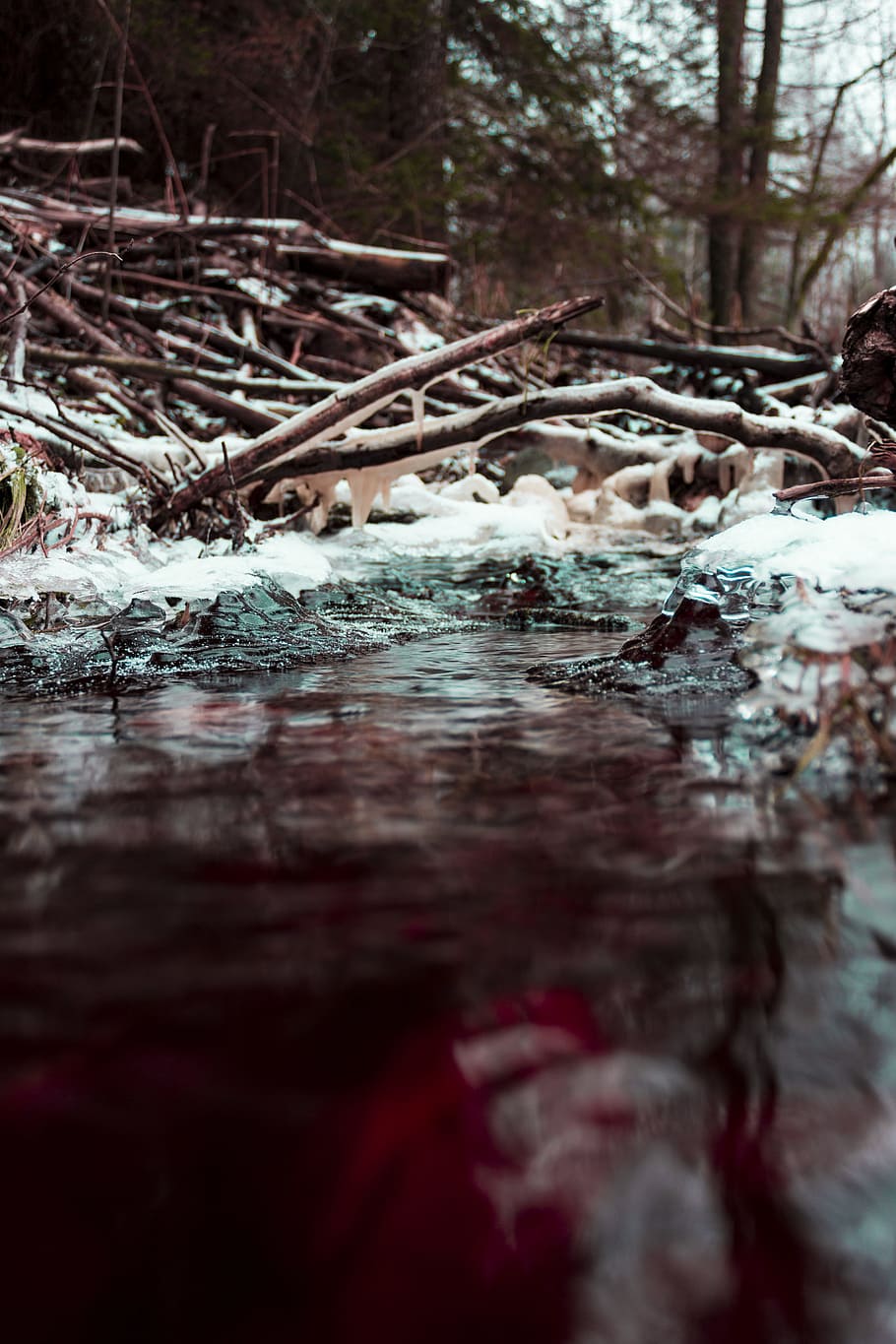 nærbillede fotografering, legeme, vand, ved siden af, trægrene, dagtimerne, kold, miljø, efterår, flyde, is, landskab, mossy klipper, bevægelse, natur, udendørs, regn, afspejling, flod, sne, plaske, strøm, rejse, træ, træer, vandstrømning, våd, vinter, dag, plante, ingen mennesker, Skov, selektiv fokusering, overflade niveau, kold temperatur, ro, havnefronten, Frosset, jord, flyder, flydende vand, 5K