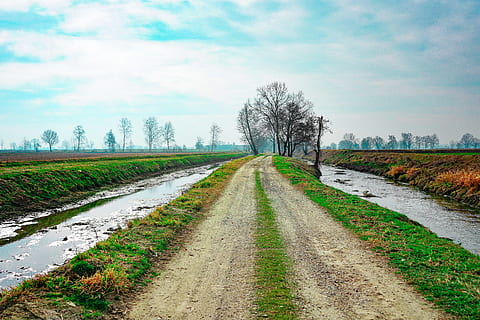 sti, kampagne, kanaler, landdistrikterne, vandløb, natur, via, landskab, vinter, udendørs, pathway, grusvej, vej, kanal, gyde, lige, horisont, roser, Lombardiet, Italien, vand, berolige, pacific, himmel, vejen frem, plante, retning, træ, faldende perspektiv, smuds, rolig scene, ingen mennesker, forsvindingspunkt, Mark, sky - himmel, ro, scenics - natur, skønhed i naturen, dag, lang, 5K, CC0, offentligt domæne, royaltyfrie