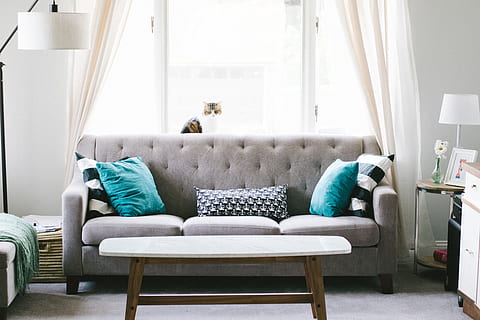 maison, intérieur, canapé, oreiller, la fenêtre, verre, rideau, table, abat-jour, meubles, salon, chat, animal, animal de compagnie, chaise, à l'intérieur, siège, coussin, chambre domestique, farci, relaxation, personne, absence, vide, intérieur de la maison, intérieur de vitrine, confortable, journée, luxe, moderne, fauteuil, lampe électrique, 5K, CC0, domaine public, libre de droits