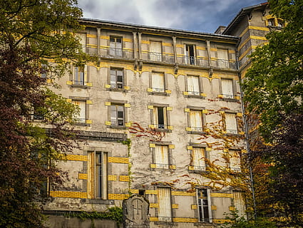 perso, posto, costruzione, architettura, conservare, rovinare, abbandonato, esterno dell'edificio, struttura costruita, Inquadratura dal basso, pianta, albero, finestra, natura, nessuno, giorno, vecchio, all'aperto, crescita, il passato, città, storia, cielo, quartiere residenziale, giallo, appartamento, 1080P, CC0, dominio pubblico, privo di copyright