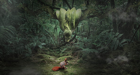 serpent, écureuil, forêt, créature, curieuse, risque, jungle, photomontage, composition, sombre, cachette, chasse, animal, thèmes animaux, vertébré, plante, la faune des animaux, un animal, animaux à l'état sauvage, arbre, mammifère, la nature, terre, couleur verte, personne, croissance, journée, en plein air, singe, forêt tropicale, 5K, CC0, domaine public, libre de droits