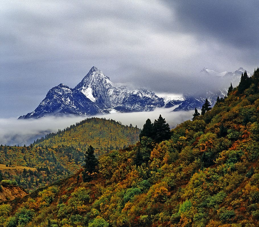 Xina, ranwu, tibet, muntanya, bellesa a la natura, cel, núvol - cel, escena tranquil·la, tranquil·litat, planta, escenics - natura, arbre, medi ambient, naturalesa, paisatge, cap gent, Serra, temperatura de fred, neu, hivern, dia, tardor, muntanya nevada, canvi, a l'aire lliure, cim de muntanya, 2K