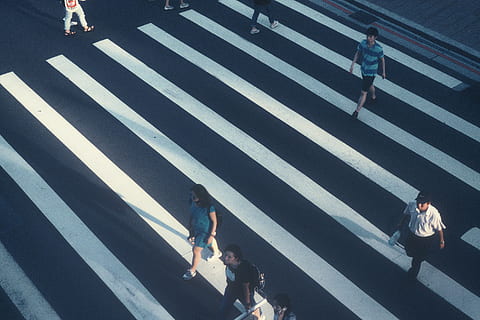 flim, llum, gent, carretera, ombra, grup de persones, ciutat, marcatge de carreteres, passeig, caminar, pas de zebra, creuar, carrer, arquitectura, símbol, transport, signe, vida de ciutat, vista d’angle alt, marcatge, dones, adult, homes, carrer de la ciutat, a l'aire lliure, 4K, CC0, domini públic, lliure de regalies