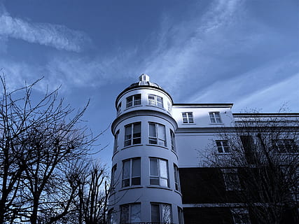 white, 4-storey, 4- storey mansion, surrounded, bald, trees, architecture, building, clouds, daylight, daytime, dome, landmark, landscape, mansion, sky, tower, urban, windows, building exterior, built structure, low angle view, cloud - sky, tree, bare tree, nature, no people, window, plant, day, outdoors, blue, residential district, city, branch, 5K, CC0, public domain, royalty free