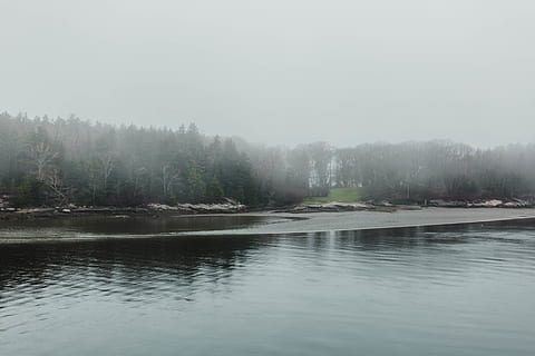 Ozean, Strand, Bäume, Baum, Nebel, nebelig, See, Gras, versteckt, Sand, Rock, Felsen, nautisch, Wasser, Schönheit in der Natur, ruhige Szene, Szenen - Natur, Ruhe, Ufergegend, Pflanze, keine Leute, Himmel, Nicht-städtische Szene, Natur, Tag, Reflexion, idyllisch, Umgebung, draußen, dunstig, 5K, CC0, gemeinfrei, lizenzfrei