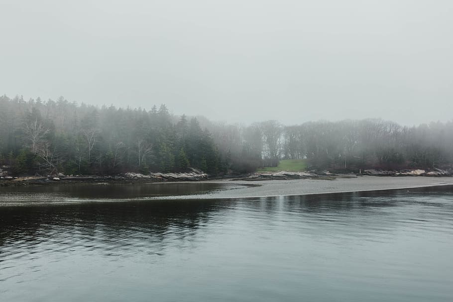 Ozean, Strand, Bäume, Baum, Nebel, nebelig, See, Gras, versteckt, Sand, Rock, Felsen, nautisch, Wasser, Schönheit in der Natur, ruhige Szene, Szenen - Natur, Ruhe, Ufergegend, Pflanze, keine Leute, Himmel, Nicht-städtische Szene, Natur, Tag, Reflexion, idyllisch, Umgebung, draußen, dunstig, 5K