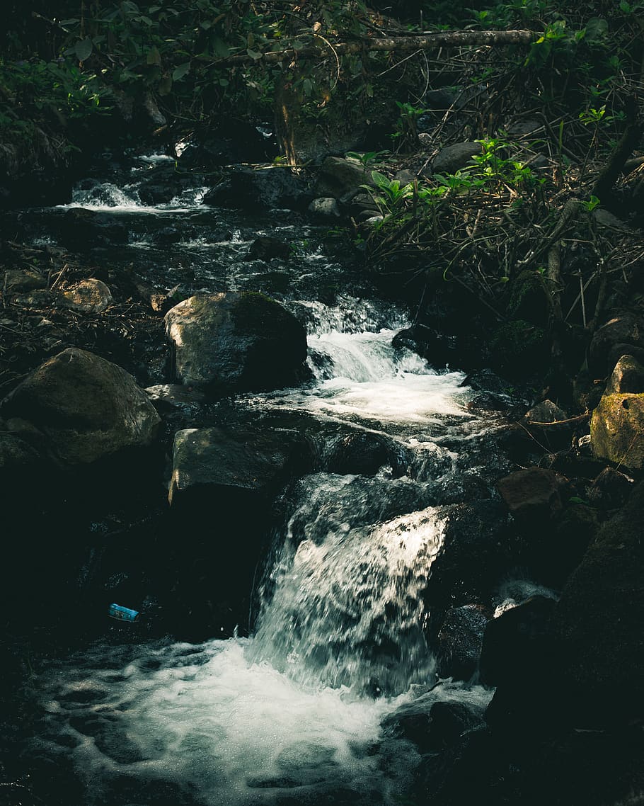 fotografia de lapse de temps, riu, la llum del dia, medi ambient, flux, bosc, paisatge, naturalesa, roques, escènic, pedres, corrent, lapse de temps, arbres, aigua, aigua que flueix, rock, sòlid, moviment, bellesa a la natura, rock - object, escenics - natura, cascada, que flueix, exposició llarga, moviment borrós, dia, cap gent, esport, terra, a l'aire lliure, rierol: aigua que flueix, poder a la natura, aigua corrent, 4K