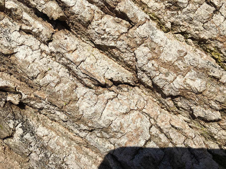 arbre, escorça, textura, fons, marc complet, aspre, primer pla, cap gent, patró, rock, naturalesa, rock - object, dia, sòlid, tronc de l'arbre, geologia, patró natural, tronc, a l'aire lliure, material de fusta, erosionat, efecte texturat, clima àrid, 4K
