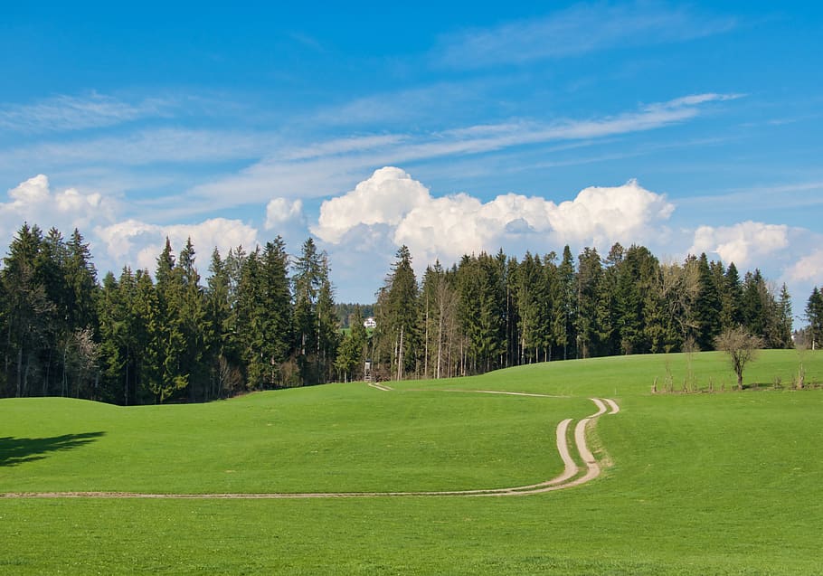 cel, núvols, lluny, caçador era, perca, caçadors de púlpit, ambito del púlpit, prat, paisatge, allgäu, planta, arbre, núvol - cel, escenics - natura, herba, bellesa a la natura, color verd, dia, naturalesa, terra, tranquil·litat, medi ambient, escena tranquil·la, cap gent, escena no urbana, camp, creixement, idíl·lic, a l'aire lliure, verd - camp de golf, 4K