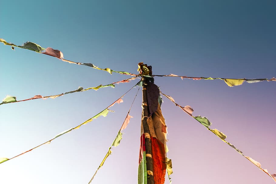 nepal, marpha, vista d’angle baix, cel, naturalesa, corda, cel clar, cap gent, dia, blau, cable, pol, a l'aire lliure, lligat, llum solar, comunicació, còpia espai, connexió, tecnologia, electricitat, generació de combustible i energia, complexitat, línia telefònica, Font d'alimentació, 5K