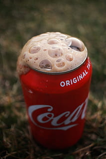 coca-cola can, vermell, beure, text, refresc, primer pla, menjar i beguda, cap gent, guió occidental, centrar-se en primer pla, frescor, dia, vista d’angle alt, comunicació, sol objecte, natura morta, contenidor, enfocament selectiu, camp, menjar, nombre, 4K, CC0, domini públic, lliure de regalies