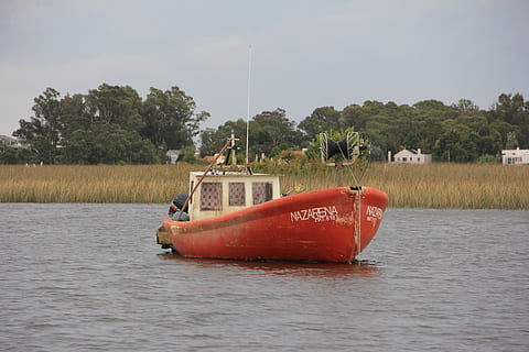 flod, barca, bro, skyer, natur, efterår, fiskeri, Santa Lucia, uruguay, vand, nautiske fartøj, træ, transportmidler, plante, transportform, himmel, havnefronten, dag, sø, ingen mennesker, udendørs, skønhed i naturen, vækst, ro, scenics - natur, rolig scene, oppustelige, 5K, CC0, offentligt domæne, royaltyfrie