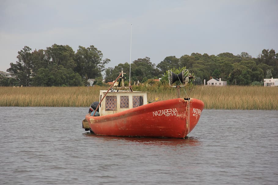riu, barca, pont, núvols, naturalesa, tardor, pescar, santa lucia, uruguay, aigua, vaixell nàutic, arbre, transport, planta, manera de transport, cel, davant del mar, dia, llac, cap gent, a l'aire lliure, bellesa a la natura, creixement, tranquil·litat, escenics - natura, escena tranquil·la, inflable, 5K