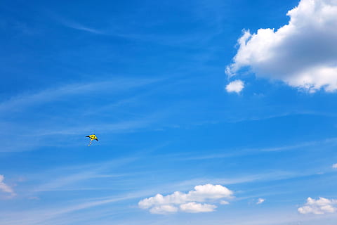 aire, , diversió, cometa, jugar, recreació, cel, estiu, joguina, blau, núvol - cel, volant, vista d’angle baix, a l'aire, esport, naturalesa, dia, aventura, persona irreconeixible, bellesa a la natura, activitat d'oci, cometa - joguina, Esports extrems, persones reals, escenics - natura, a l'aire lliure, llum solar, llibertat, 2K, CC0, domini públic, lliure de regalies