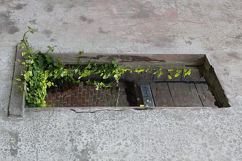 vin, vindue, rustik, gammel, væg, murstens væg, arkitektur, bygget struktur, bygning udvendig, plante, vækst, dag, ingen mennesker, murbygningsfunktion, natur, bygning, udendørs, grøn farve, blad, plante del, tekst, hus, potteplante, beton, 5K, CC0, offentligt domæne, royaltyfrie