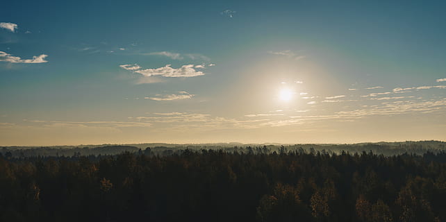 Észtország, Elva, fa, szépség a természetben, nyugodt jelenet, festmények - természet, nyugalom, növény, ég, növekedés, természet, felhő - ég, tájkép, nem városi színtéren, nem ember, környezet, föld, erdő, napfény, idillikus, nap, napnyugta, tűlevelű fa, 5K, CC0, közkincs, jogdíjmentes