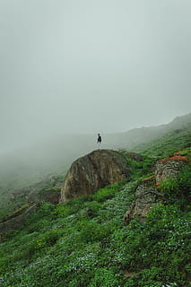 paesaggio, natura, all'aperto, tempo metereologico, umano, persona, altopiano, scogliera, nebbia, campagna, uccello, animale, avvoltoio, scenario, montagna, collina, catena montuosa, pendenza, condor, bellezza nella natura, scenics - natura, la tranquillità, scena tranquilla, cielo, scena non urbana, ambiente, pianta, persone reali, una persona, roccia, solido, roccia - oggetto, giorno, erba, terra, 5K, CC0, dominio pubblico, privo di copyright
