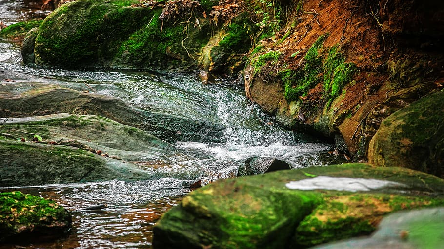 riu, corrent, roques, molsa, herba, rierol, bombolles, aigua, rock, rock - object, sòlid, bellesa a la natura, moviment, aigua que flueix, escenics - natura, naturalesa, bosc, planta, cap gent, cascada, exposició llarga, dia, que flueix, terra, descàrrega, a l'aire lliure, rierol: aigua que flueix, aigua corrent, selva tropical, poder a la natura, 1080P