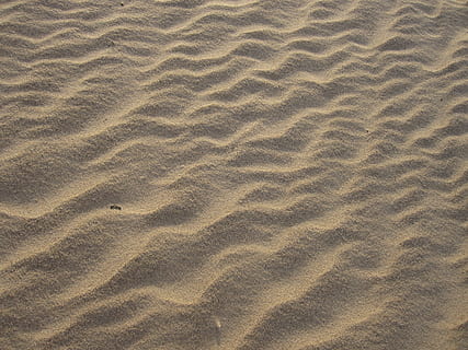 latvia, riga, texture, abstract, baltic, beige, sandy, sand, beach, textured, land, pattern, wave pattern, backgrounds, sand dune, full frame, desert, high angle view, nature, landscape, no people, natural pattern, arid climate, beauty in nature, tranquility, day, climate, outdoors, 4K, CC0, public domain, royalty free