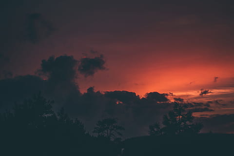 silhuet foto, træ, rød, himmel, Sky, solnedgang, solnedgang skyen, humørsyg, humør, solnedgang himmel, solnedgang farve, solnedgang skyer, kontrast, oransje himmel, natur, udendørs, skumring, sommer, sky - himmel, scenics, baggrunde, sol, orange farve, vejr, skønhed i naturen, sollys, landskab, silhuet, cloudscape, morgen, daggry, lys - naturligt fænomen, solopgang - daggry, mørk, gul, blå, 5K, CC0, offentligt domæne, royaltyfrie
