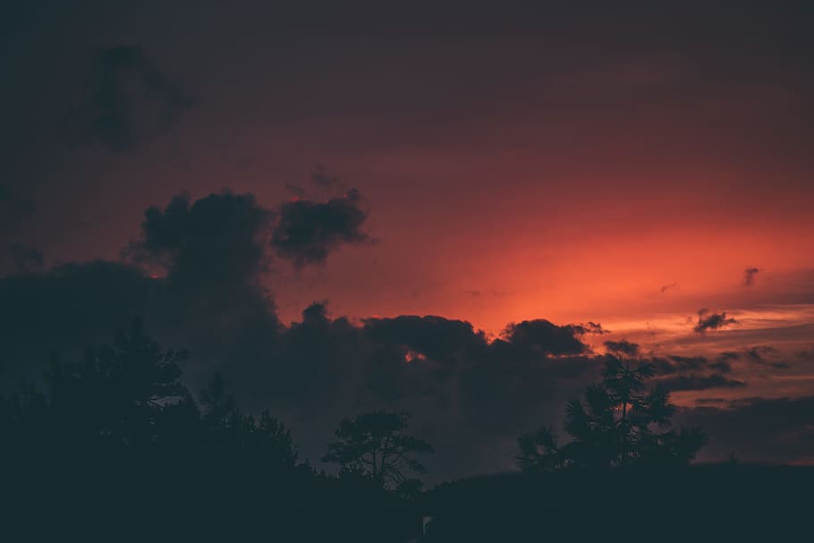 silhuet foto, træ, rød, himmel, Sky, solnedgang, solnedgang skyen, humørsyg, humør, solnedgang himmel, solnedgang farve, solnedgang skyer, kontrast, oransje himmel, natur, udendørs, skumring, sommer, sky - himmel, scenics, baggrunde, sol, orange farve, vejr, skønhed i naturen, sollys, landskab, silhuet, cloudscape, morgen, daggry, lys - naturligt fænomen, solopgang - daggry, mørk, gul, blå, 5K