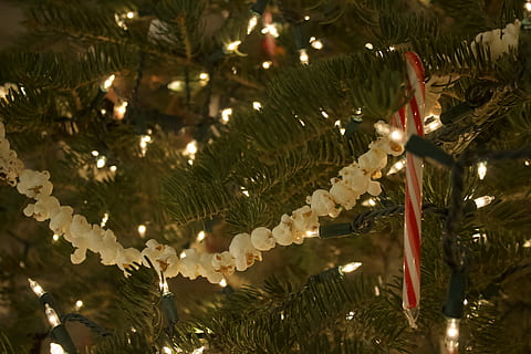 Crăciun, lumini, copac, floricele de porumb, bomboane, baston, acadea, vacanţă, decor, celebrare, Brad de Crăciun, glob de Craciun, iluminat, Lumini de Craciun, Crăciun ornament, echipamente de iluminat, agăţat, nici o persoana, a închide, plantă, vedere unghiulară joasă, eveniment de vacanță, natură, ușoară, 5K, CC0, domeniu public, fără drepturi de autor
