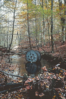 forest, pollution, traces, manmade, contrast, nature, object, artefakt, industrial, post, surreal, autumn, fall, tree, plant, land, tranquility, day, woodland, no people, change, tree trunk, growth, tranquil scene, trunk, beauty in nature, leaf, branch, plant part, non-urban scene, outdoors, wheel, 5K, CC0, public domain, royalty free