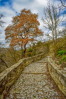sentiero, ciottolo, sentiero acciottolato, pietra, architettura, tradizionale, villaggio, Arsos, Troodos, Cipro, albero, pianta, direzione, la strada davanti, la tranquillità, cielo, natura, nessuno, scena tranquilla, bellezza nella natura, giorno, scenics - natura, autunno, scena non urbana, terra, crescita, nuvola - cielo, albero nudo, all'aperto, modificare, prospettiva decrescente, lungo, 5K, CC0, dominio pubblico, privo di copyright