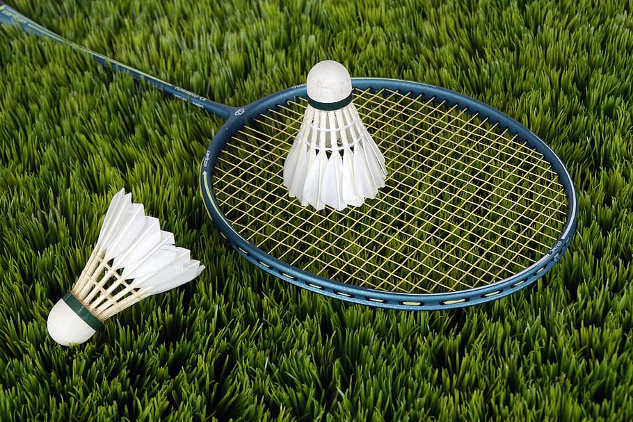 blau, raqueta de bàdminton, volant, bàdminton, herba, raqueta, volants, esport, color verd, planta, vista d’angle alt, cap gent, naturalesa, dia, contenidor, equipament per a la llar, creixement, a l'aire lliure, metall, camp, primer pla, menjar i beguda, Color blanc, estri de cuina, frescor, terra, bellesa a la natura, vaixella, 4K
