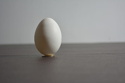 ei, schaduwen, licht, voedsel, welzijn, binnenshuis, enkel object, detailopname, gezond eten, eten en drinken, geen mensen, tafel, stilleven, versheid, selectieve aandacht, breekbaarheid, kwetsbaarheid, witte kleur, studio opname, rauw eten, eenvoud, kopie ruimte, 5K, CC0, publiek domein, royaltyvrij