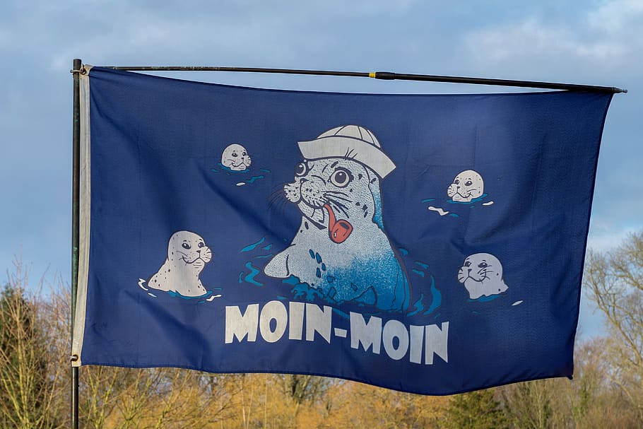 bandera, cel, aleteig, blau, vaixell, Costa, dient, text, salutació, benvinguda, port, representació, cap gent, representació humana, art i artesania, comunicació, dia, semblança masculina, naturalesa, mamífer, guió occidental, signe, por, mural, graffiti, 5K