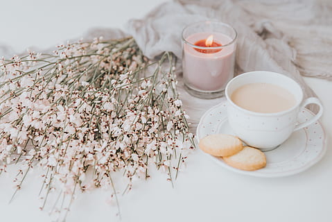 hvid, keramisk, kop, bord, lys, plante, keramik, underkop, konfekture, søde sager, mad, drikke, drik, kaffekop, te, spa, bageri, butik, dessert, fløde, creme, krukke, vase, mad og drikke, friskhed, indendørs, stilleben, forfriskning, krus, velvære, høj vinkel visning, ingen mennesker, te - varm drikke, fokus på forgrunden, varm drikke, tæt på, sund kost, måltid, morgenmad, porcelæn, te kop, 5K, CC0, offentligt domæne, royaltyfrie