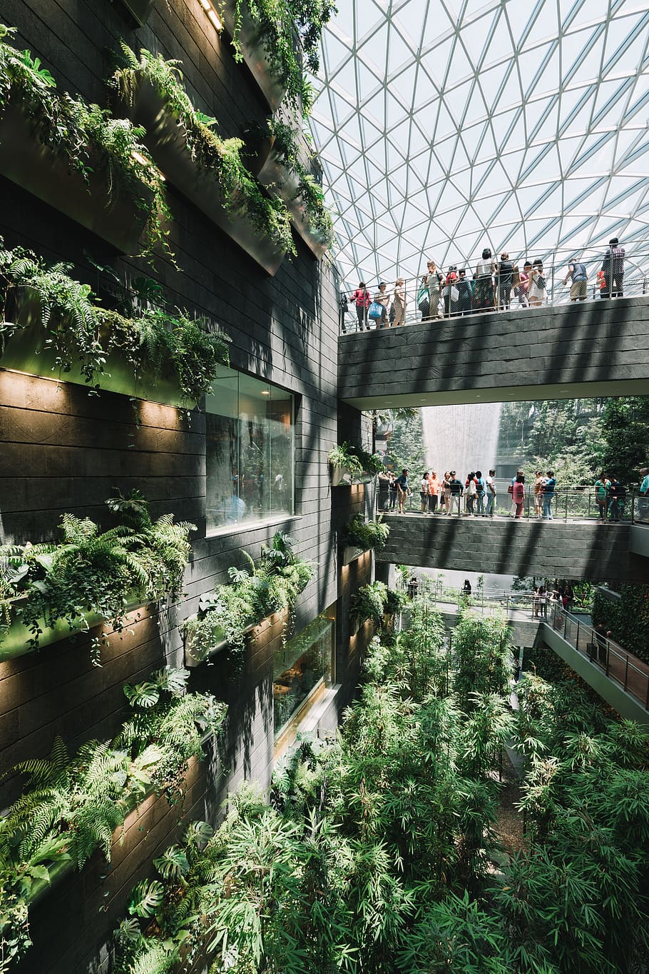 lidé, stojící, uvnitř, budova Amazon, stavba, architektura, exteriér budovy, rostlina, voda, skupina lidí, Příroda, most, budova, most - mužská konstrukce, řeka, den, strom, město, venku, dav, přeprava, 8K