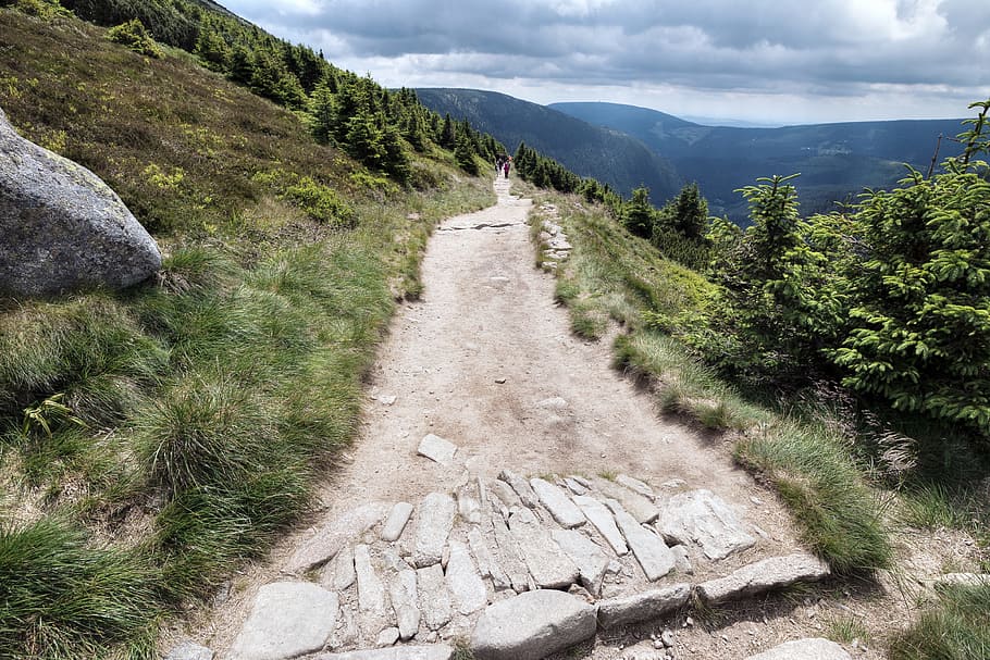 excursionismo, sendero, montañas, montaña, planta, belleza en la naturaleza, dirección, naturaleza, la carretera, escena no urbana, paisajes - naturaleza, día, el camino a seguir, cielo, cordillera, tranquilidad, escena tranquila, transporte, árbol, hierba, paisaje, color verde, nadie, al aire libre, 4K