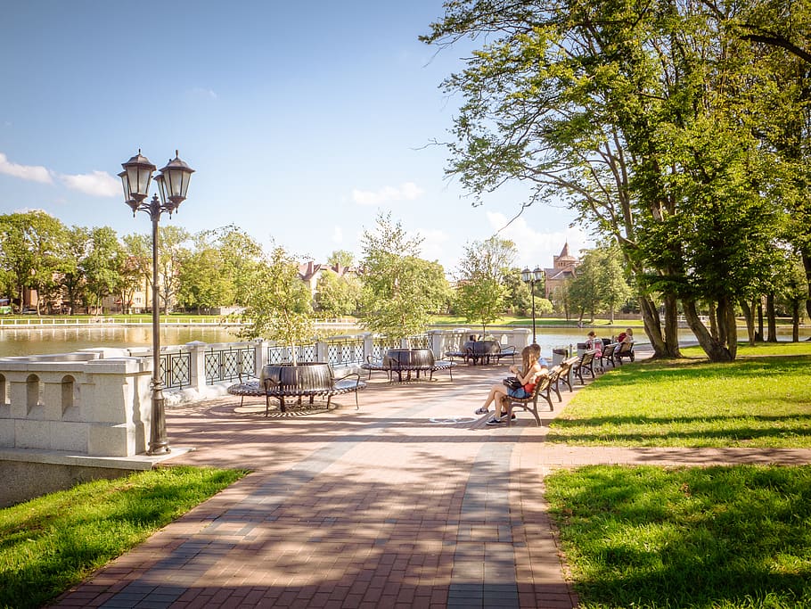 carrer, arbres, arbre, llanternes, ciutat, parc de la ciutat, parc, parc verd, parc d’arbres, gent, aigua, llac, verd, cel, estiu, sol, bancs, banc, gent al banc, amor, planta, naturalesa, transport, dia, persones reals, llum solar, arquitectura, grup de persones, estils de vida, homes, activitat d'oci, dones, estructura construïda, creixement, adult, persones incidentals, a l'aire lliure, 2K
