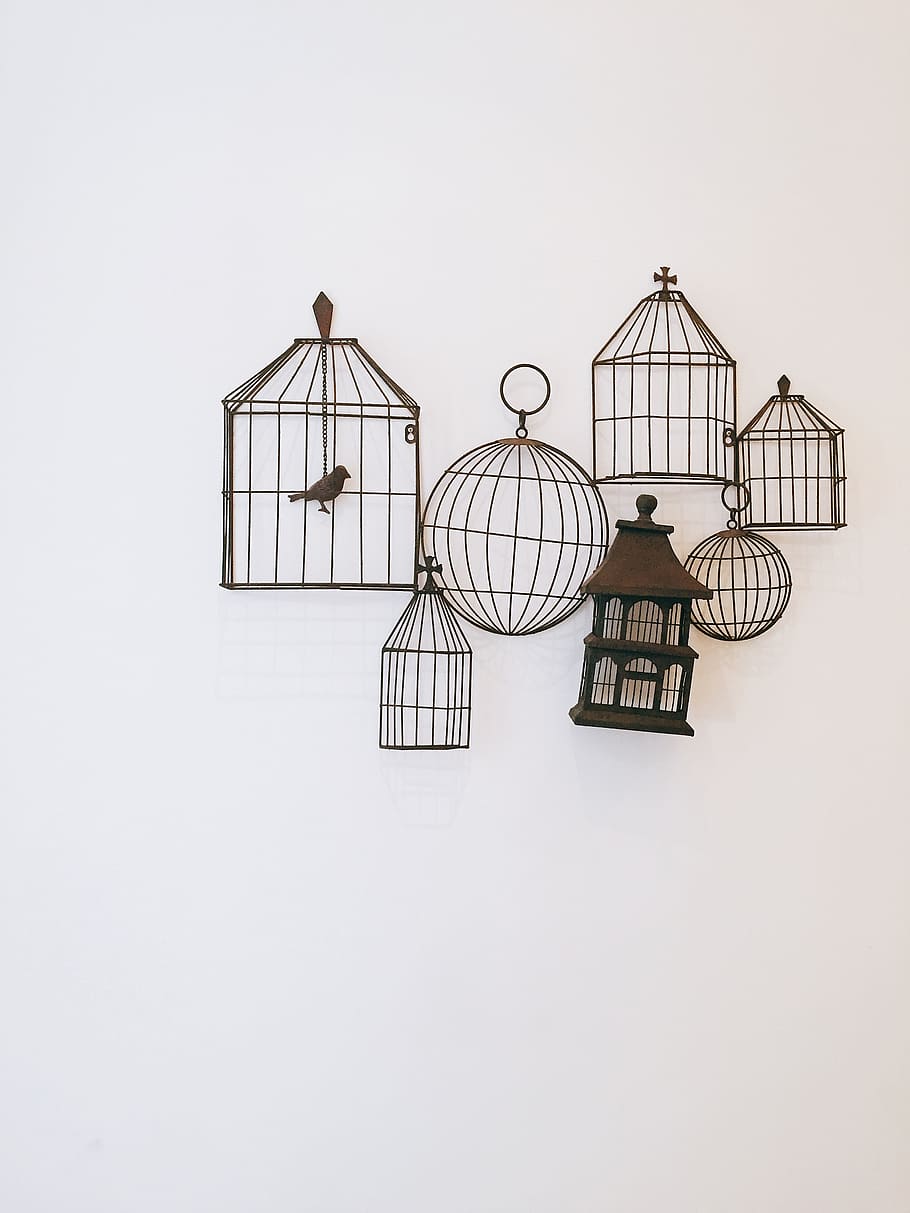 fonas, narve, interjeras, interjero dizainas, kopijavimo vietos, nėra žmonių, patalpose, studija, baltas fonas, paukščio narvas, architektūra, Iškirpti, dangus, modelį, kūrybiškumas, pobūdį, dieną, pastatyta struktūra, nebuvimas, metalo, mašinos, tuščia, 8K