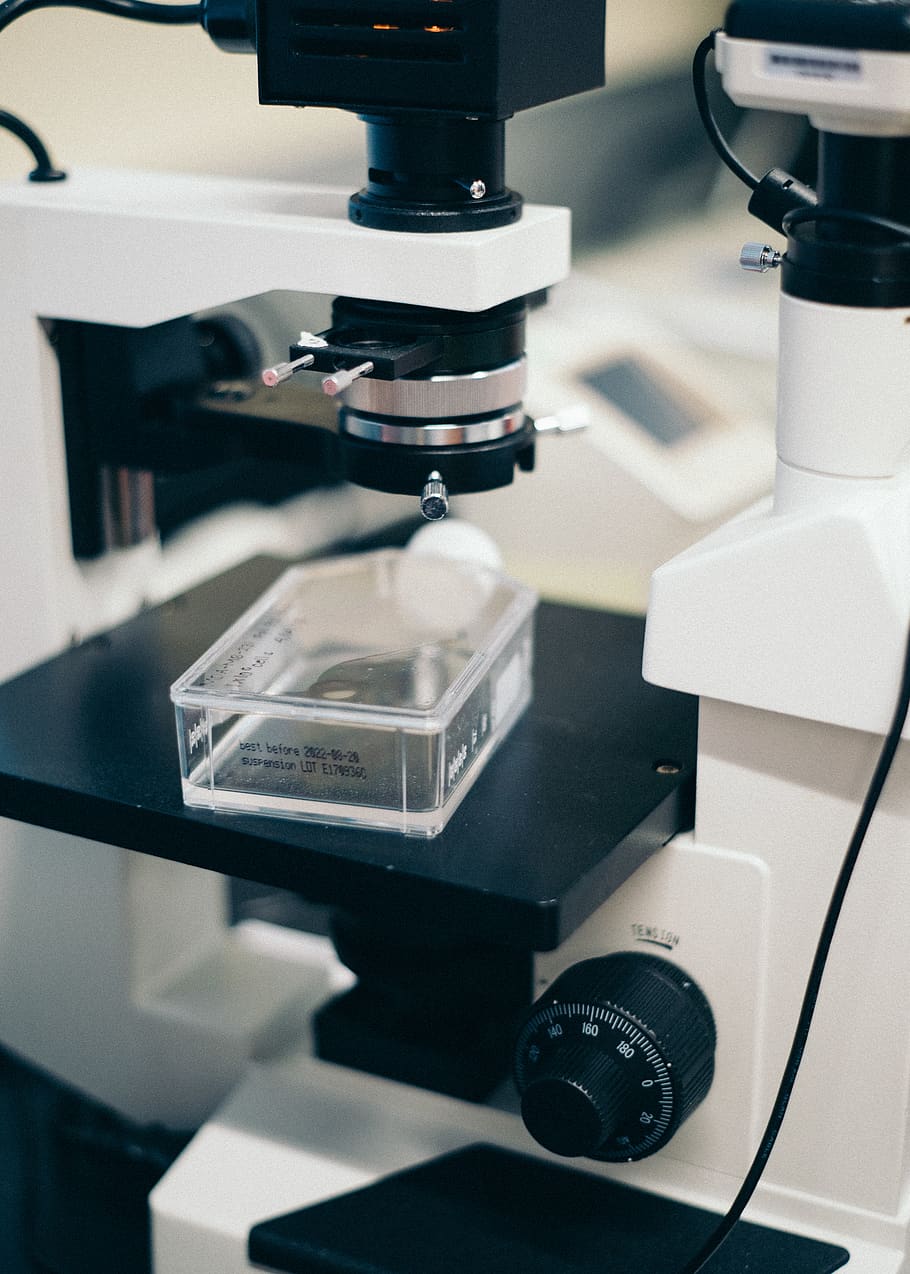 blanc, negre, microscopi, laboratori, tuscaloosa, la universitat d'alabama, Estats Units, ciència, equipament, recerca, biologia, accessoris, cèl · lules, universitat, indústria, biomèdica, lliscar, llum, textura, tecnologia, a l'interior, primer pla, educació, equips de laboratori, centrar-se en primer pla, cap gent, salut i medicina, instrument òptic, experiment científic, maquinària, equip mèdic, natura morta, taula, descobriment, part de la màquina, 4K