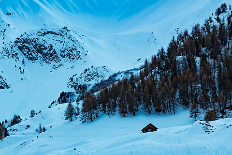 montagne couverte de neige, du froid, environnement, forêt, zing, glacial, temps glacial, congelé, glacé, Montagne, la nature, saison, neige, couvert de neige, neigeux, montagne enneigée, des arbres, hiver, paysage d'hiver, température froide, beauté dans la nature, paysages - nature, scène tranquille, tranquillité, ciel, couvrant, arbre, plante, scène non urbaine, personne, paysage, terre, couleur blanche, montagne au sommet enneigé, sommet de la montagne, 2K, CC0, domaine public, libre de droits