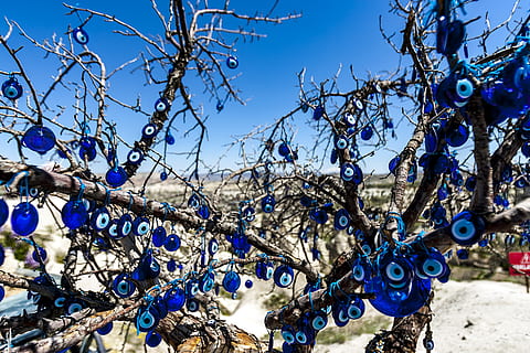árbol del mal de ojo, azul, rama, árbol, cielo, naturaleza, nadie, día, colgando, árbol desnudo, vista de ángulo bajo, planta, de cerca, centrarse en primer plano, tranquilidad, gran grupo de objetos, al aire libre, luz del sol, comida, comida y bebida, mal, industria pesquera, 5K, CC0, dominio público, libre de derechos