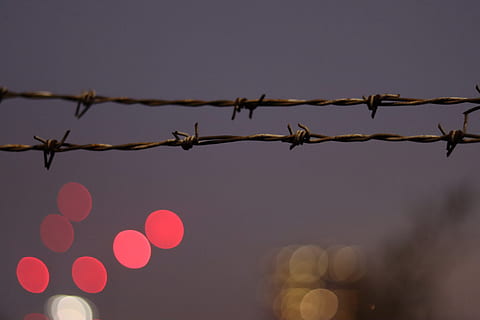 gri diken teli, tel, dikenli tel, Londra, kuş, hayvan, ışık, gece, hapis, umut, barbwire, bulanık, ampuller, belirti, akşam karanlığı, küre, çit, işaret fişeği, kaldırım taşı, açık havada, gökyüzü, insansız, doğa, düşük açılı görünüş, aydınlatılmış, koruma, güvenlik, Emniyet, aydınlatma ekipmanı, kapatmak, metal, açık hava, ön plana odaklanmak, dekorasyon, bariyer, sınır, 5K, CC0, kamu malı, telif ücretsiz