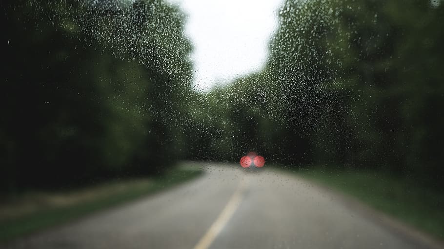 foresta, alberi, pioggia, piovoso, lunatico, strada, viaggio, viaggio su strada, bicchiere, gocce, acqua, mezzi di trasporto, movimento, albero, veicolo a motore, modo di trasporto, auto, natura, nessuno, bagnato, la strada davanti, direzione, pianta, vetro - materiale, veicolo terrestre, parabrezza, in movimento, trasparente, all'aperto, stagione piovosa, punto di vista dell'auto, goccia di pioggia, 5K