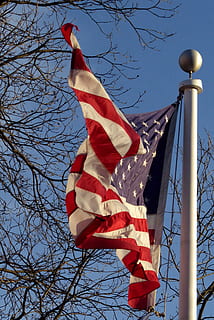 vind, flag, himmel, træer, symbol, amerikansk flag, stjerner og striber, rød hvid blå, lav vinkel visning, patriotisme, træ, natur, bare træ, dag, afdeling, ingen mennesker, rød, stribet, plante, skyfri himmel, pol, udendørs, stjerne form, nationalt ikon, 2K, CC0, offentligt domæne, royaltyfrie