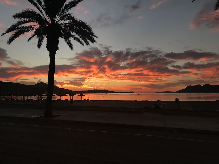 Spagna, port de pollença, tramonto, cielo, clima tropicale, Palma, silhouette, scenics - natura, bellezza nella natura, acqua, nuvola - cielo, albero, scena tranquilla, la tranquillità, spiaggia, mare, natura, colore arancione, terra, pianta, idilliaco, nessuno, orizzonte sull'acqua, all'aperto, palma da cocco, 4K
