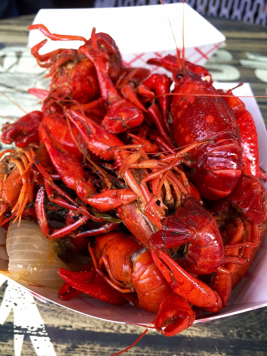mad, mudbug, languster, mad og drikke, fisk og skaldyr, rød, krebsdyr, friskhed, sund kost, velvære, tæt på, plade, stilleben, hummer, ingen mennesker, klar til at spise, dag, høj vinkel visning, fokus på forgrunden, indendørs, portionsstørrelse, rå fødevarer, 2K
