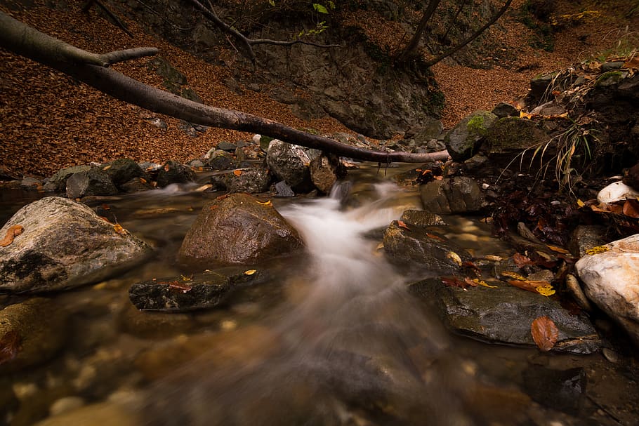 lungo, fotografia di esposizione, fiume, cascata, ambiente, flusso, paesaggio, lunga esposizione, muschio, movimento, natura, parco, rapide, rocce, panoramico, ruscello, lasso di tempo, acqua, legna, roccia, solido, roccia - oggetto, foresta, albero, nessuno, acqua corrente, terra, pianta, giorno, fluente, bellezza nella natura, flusso - acqua che scorre, scenics - natura, all'aperto, 5K